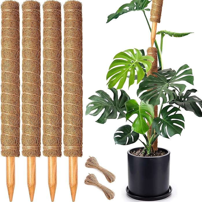 4 Pack 22 Inch Moss Poles, Stackable Moss Pole for Plants Monstera, 70 Inch Tall Moss Poles for C... | Amazon (US)