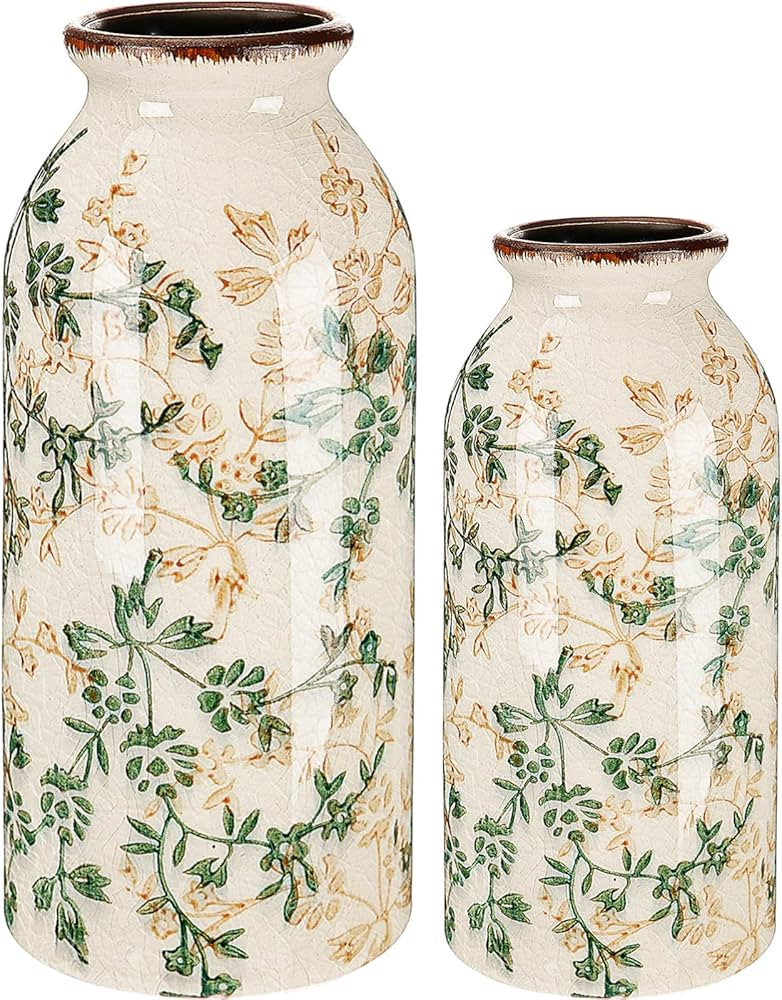 2 Pcs Vintage Ceramic Flower Vase, Rustic Boho Farmhouse Decor for Home, Table, Shelf, Office, Sm... | Amazon (US)