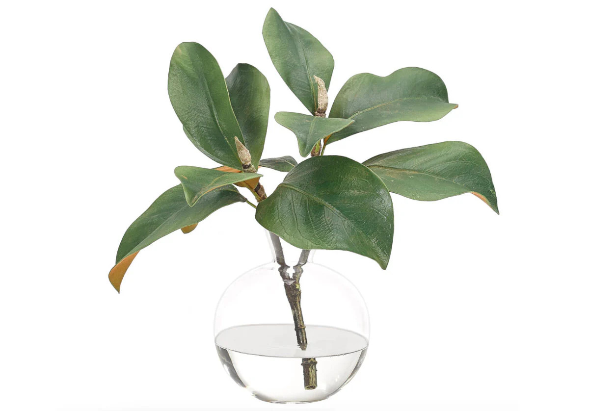 MAGNOLIA FOILAGE | Alice Lane Home Collection