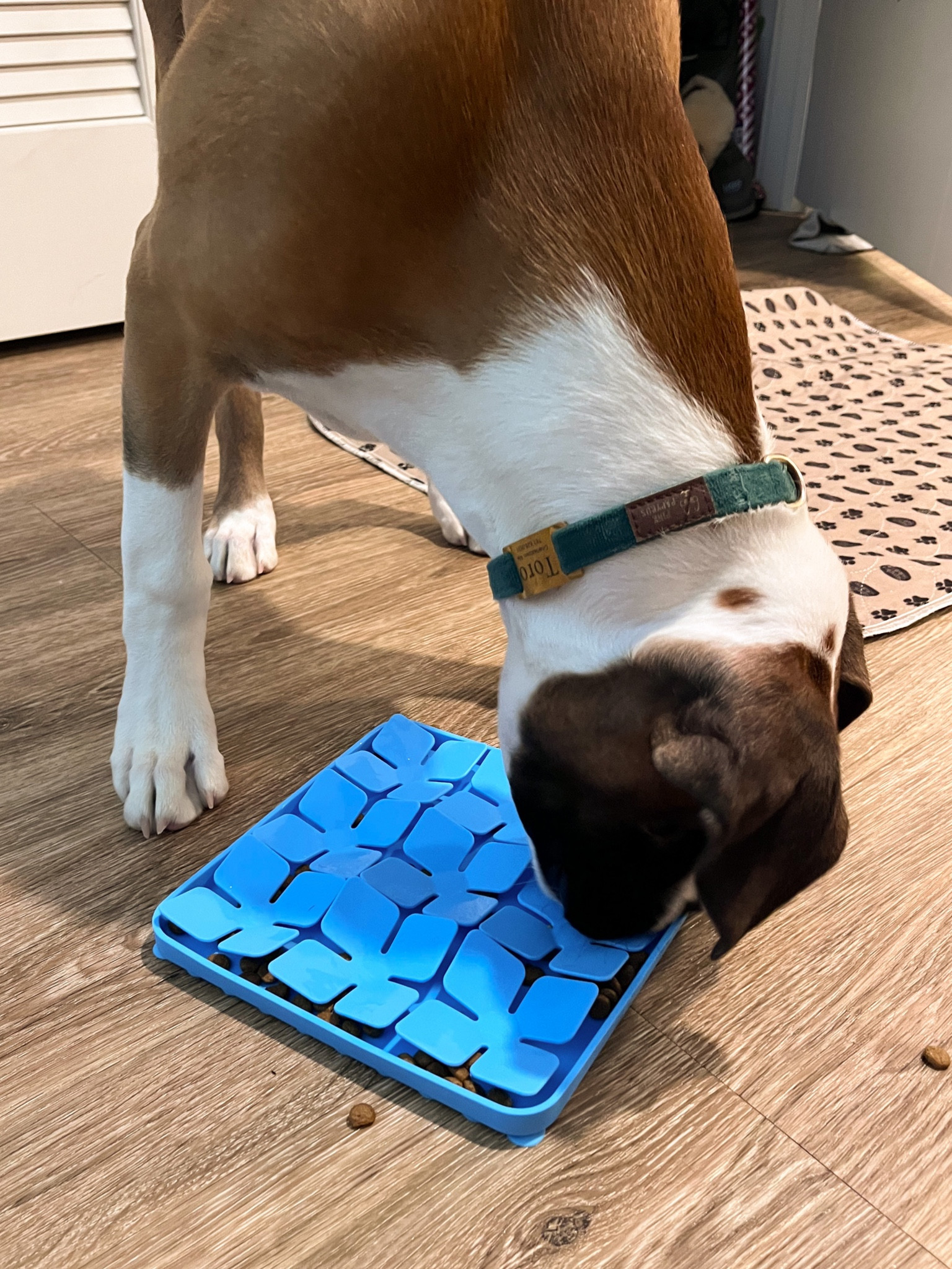 Tiring this crazy boy out when it’s 11 degrees outside and 30+mph winds is tough. These help so much! 

#LTKunder100 #LTKhome