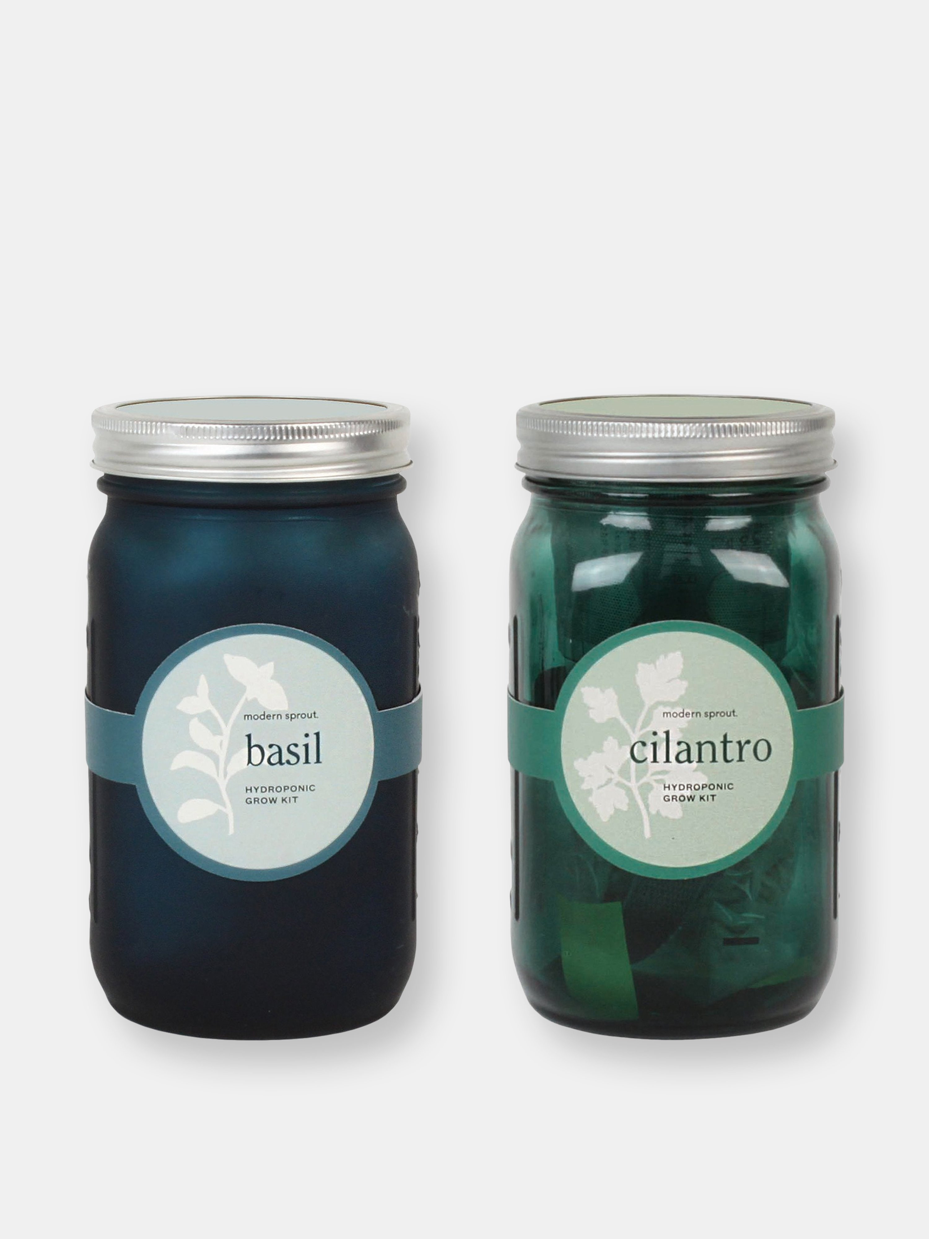Glass Jar Grow Set - Basil + Cilantro | Verishop