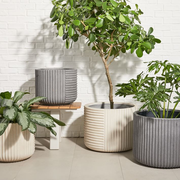 Cecilia Fiberstone Planters | West Elm (US)