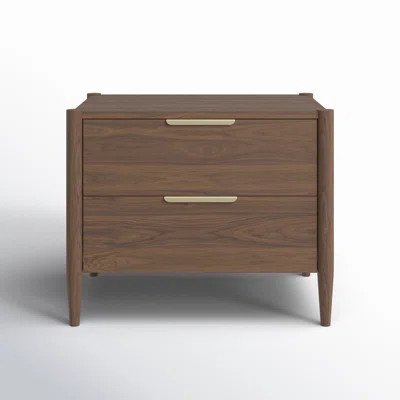 Reece 30" 2 Drawer Wood Nightstand | Wayfair North America