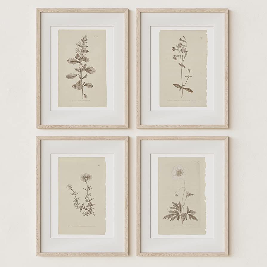 Wall Art Botanical Plant Prints | Vintage Flower Boho Minimalist Floral Artwork Decor for Bedroom... | Amazon (US)