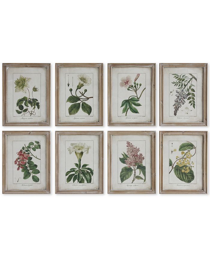 Framed Botanical Motif Wall Plaques, Set of 8 | Macys (US)