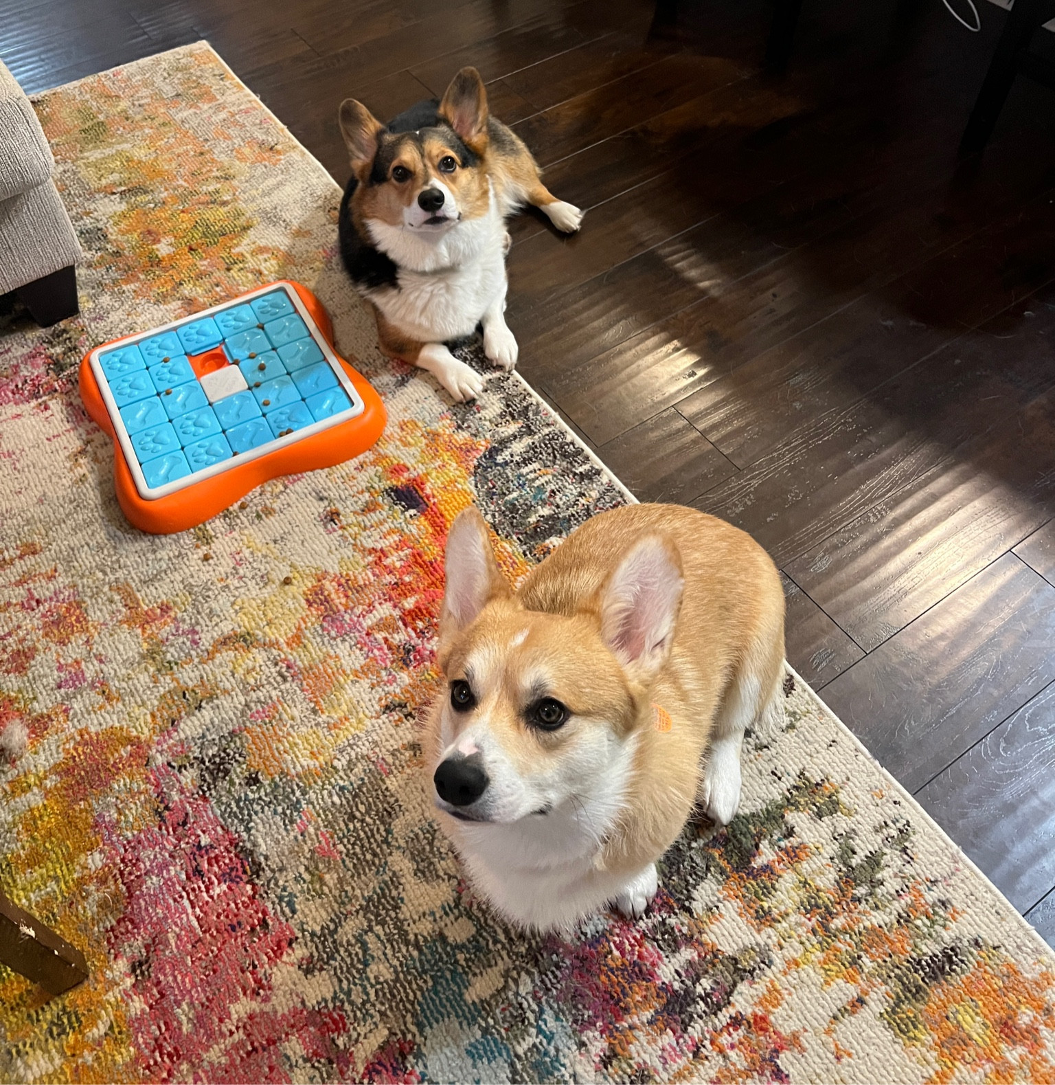 Ringing in the new year with our puzzle toys!  

#LTKhome #LTKfindsunder50