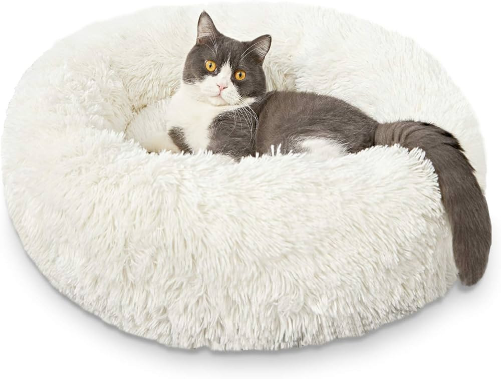 HACHIKITTY Dog Beds Calming Donut Cuddler, Puppy Dog Beds Medium Dogs, Fluffy Dog Calming Beds La... | Amazon (US)