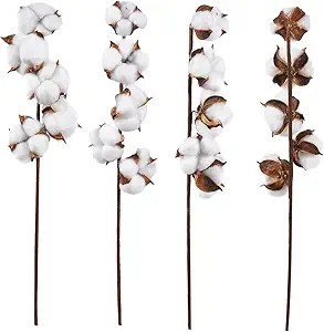 Cotton Flowers, Farmhouse Decor (16 in, 4-Pack) | Amazon (US)