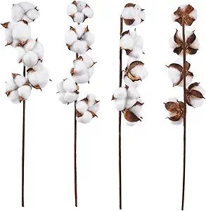 Cotton Flowers, Farmhouse Decor (16 in, 4-Pack) | Amazon (US)