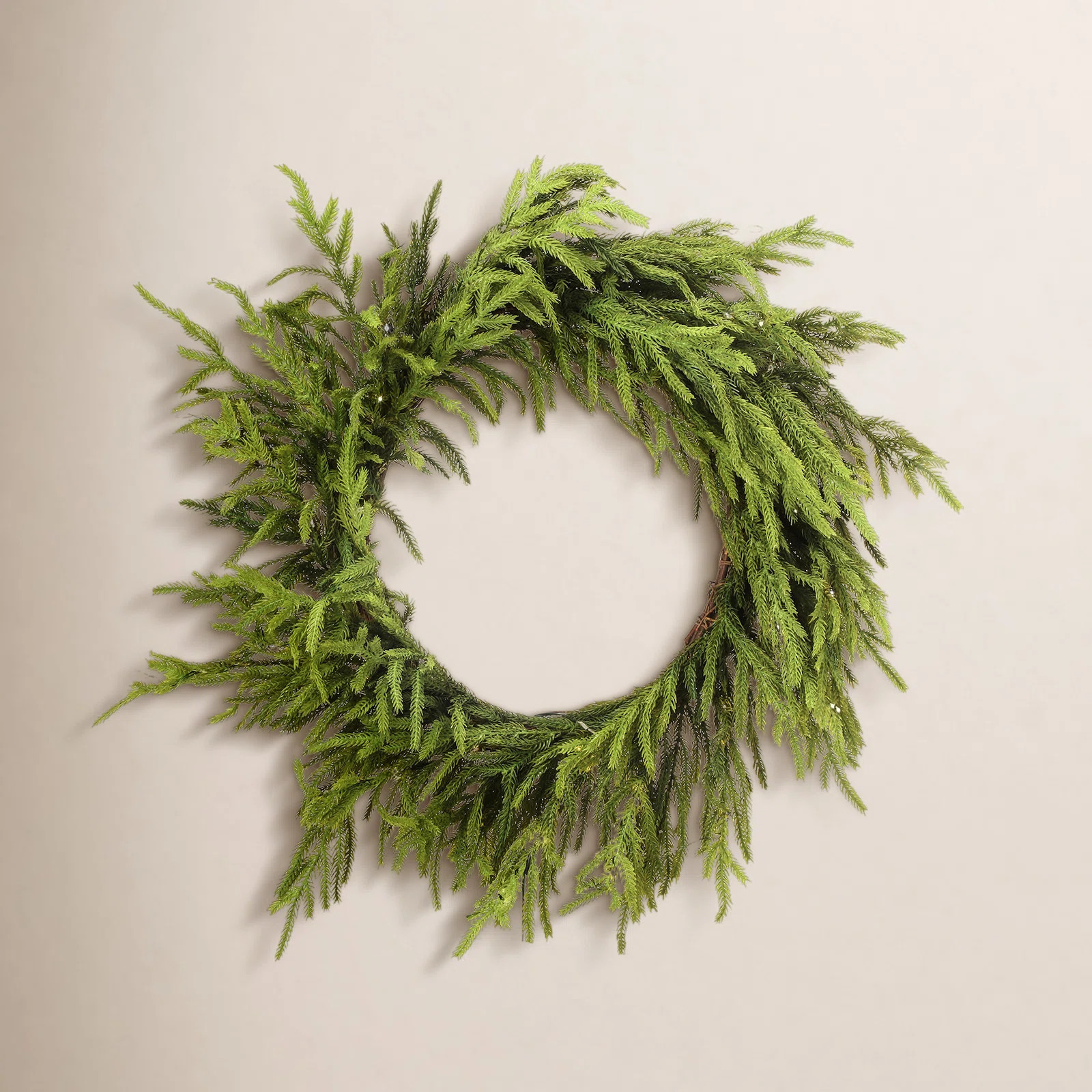 24" LED Battery Operated Timer Natural Touch Norfolk Pine Wreath | Wayfair North America