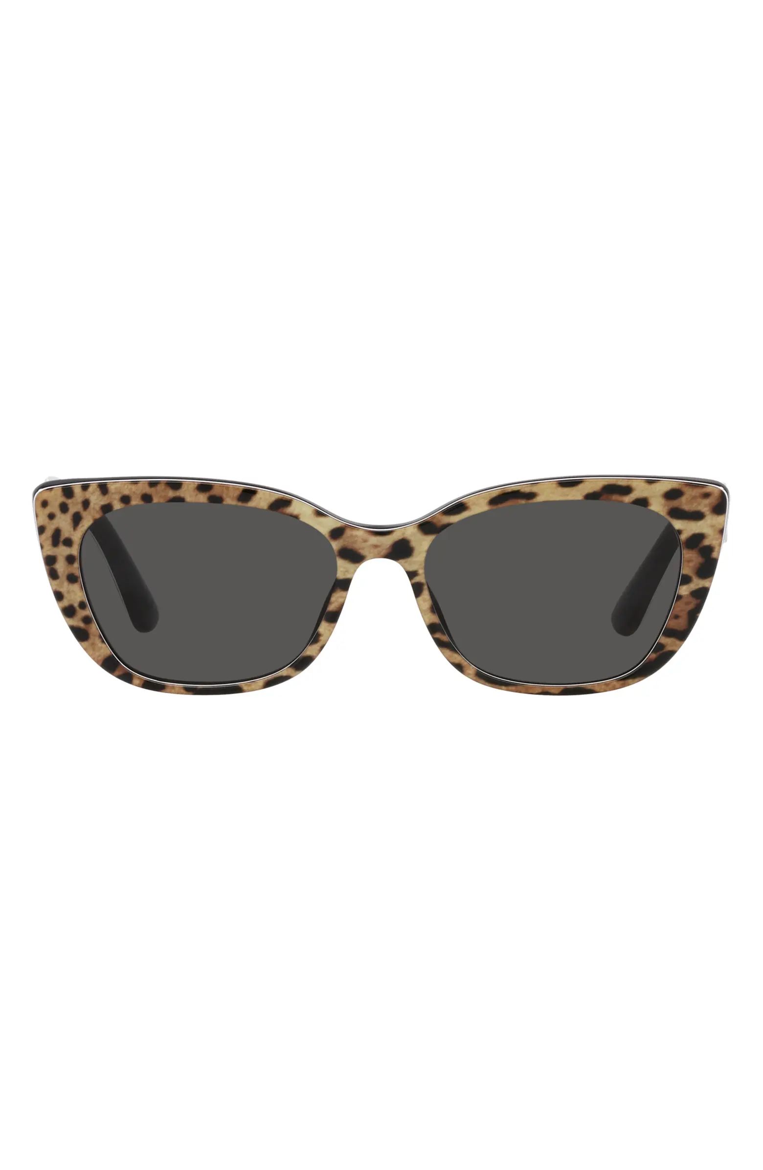 Dolce&Gabbana 49mm Small Cat Eye Sunglasses | Nordstrom | Nordstrom