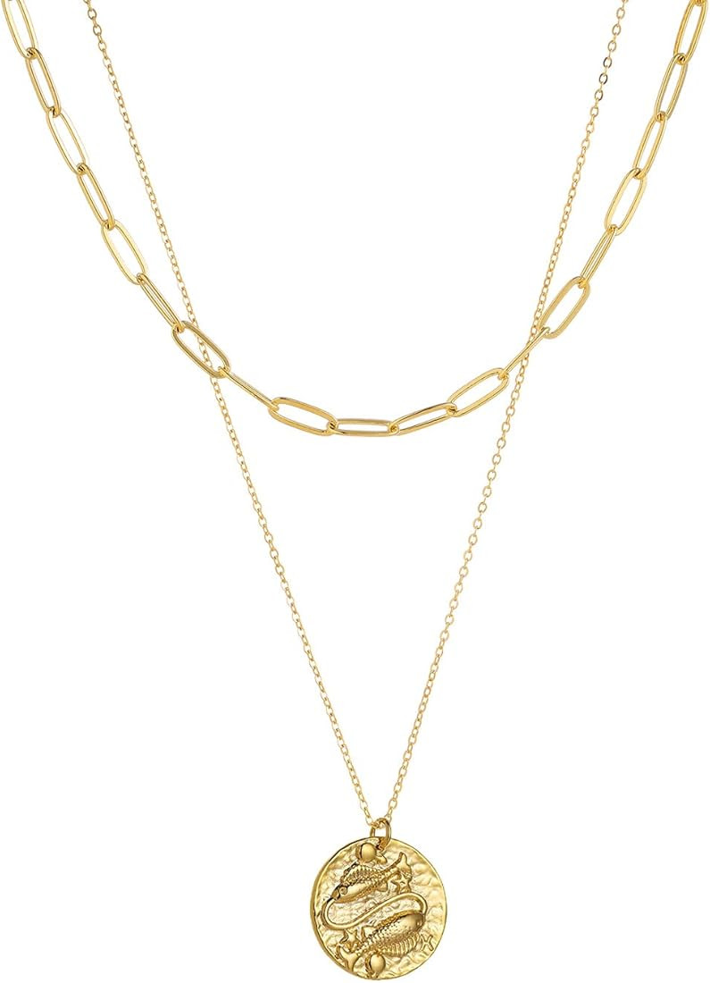 12 Constellations Zodiac Necklace Women's girls Simple Delicate 14K Gold Filled Coin Pendant Pers... | Amazon (US)