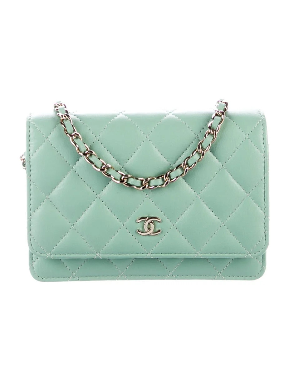 2021 Mini Wallet On Chain | The RealReal