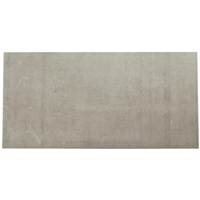 Citified 12" W x 24" L Porcelain Concrete Look Singular Tile | Wayfair North America