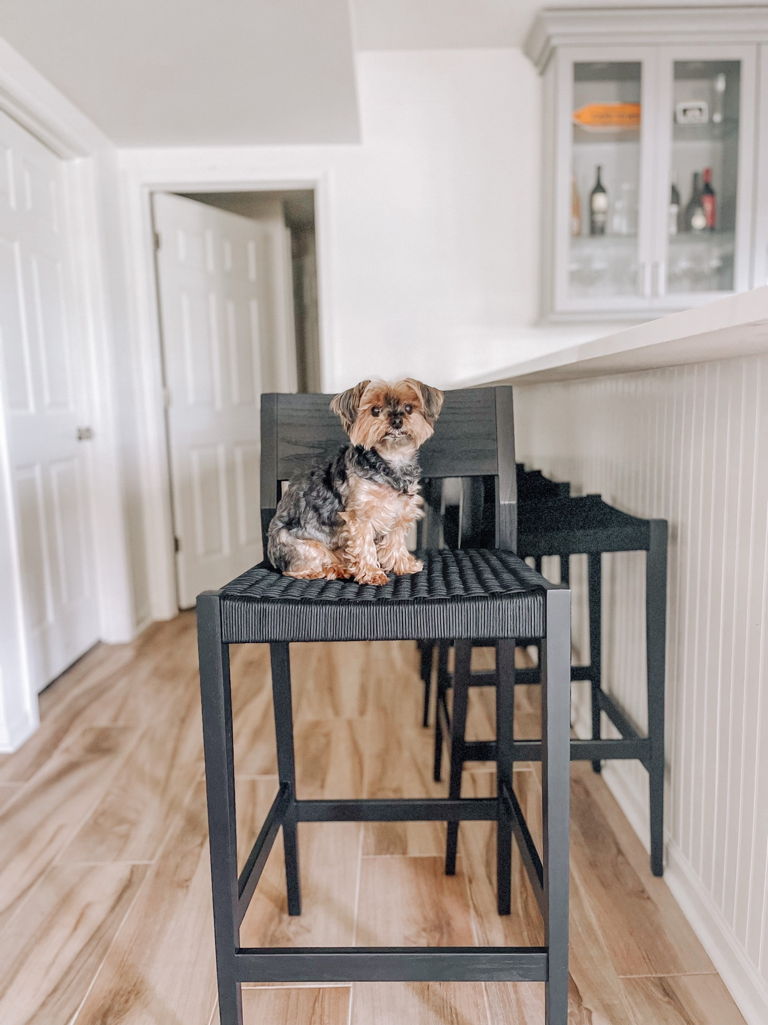 Contract grade Barstools
- black solid walnut bar stool w/ blk woven rope seat  ( love them & on sale)
- Scandinavian design
- cane and rattan bar stool


#LTKhome #LTKSale #LTKsalealert