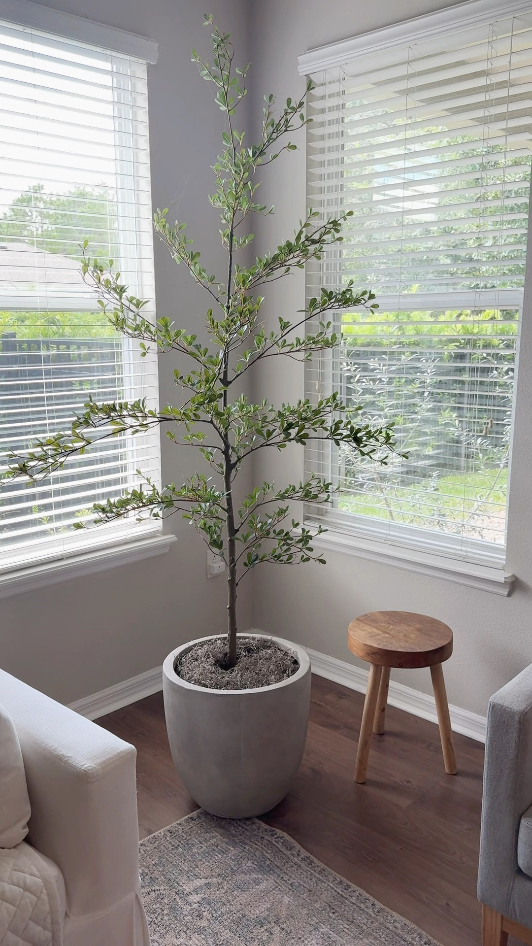 Love this faux plant! Perfect till fill an empty corner, the color and height is perfect!

#LTKHome #LTKOver40 #LTKSaleAlert