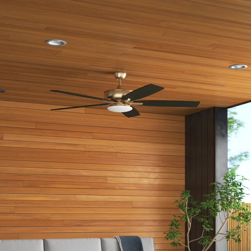 Alif 60'' Ceiling Fan with LED Lights | Wayfair North America
