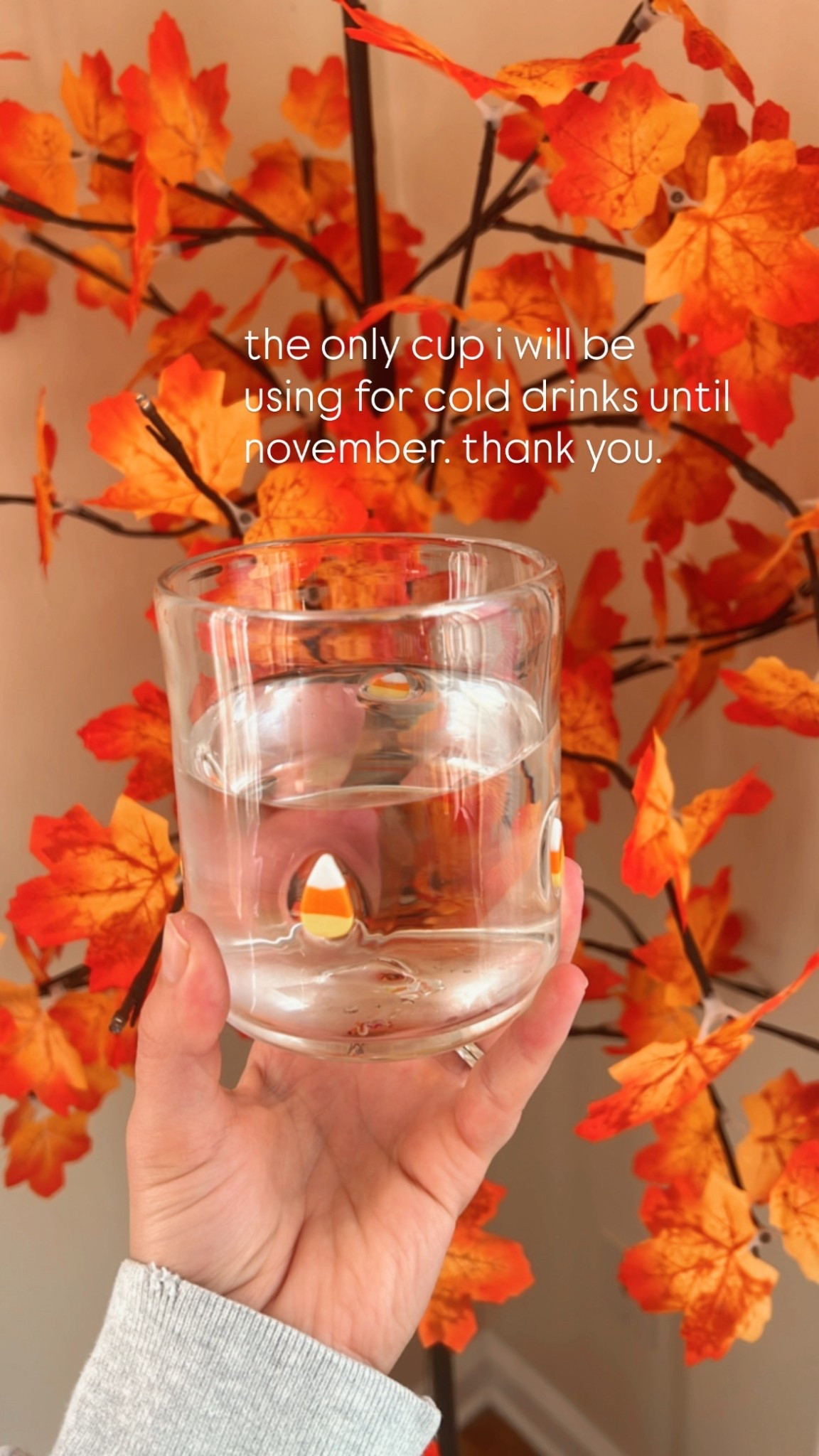 the only cup needed this spooky season 🎃 i have the pumpkin one too and love it! they’re selling out fast so grab them before they’re gone!

#LTKHome #LTKSeasonal