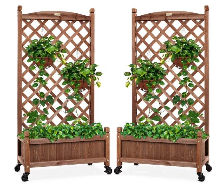 52% off 🎉

Best Choice Products Set of 2 48in Wood Planter Box & Diamond Lattice Trellis, w/ Drainage, Optional Wheels - Walnut

#LTKSaleAlert #LTKHome