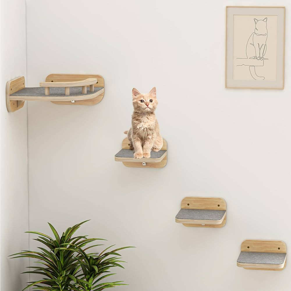 Megidok Cat Wall Furniture Corner Climbing Shelf Perches, Cat Bed Wall Mounted with 3 Wide Steps,... | Amazon (US)