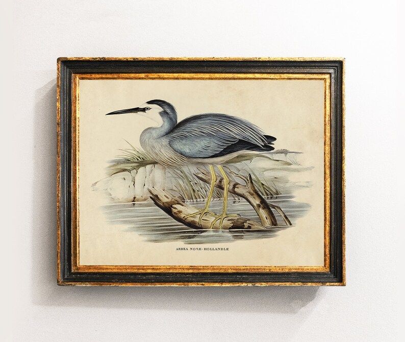 White Heron Print, Bird Wall Art, Bird Poster, Vintage Print, Coastal Decor / P408 | Etsy (US)