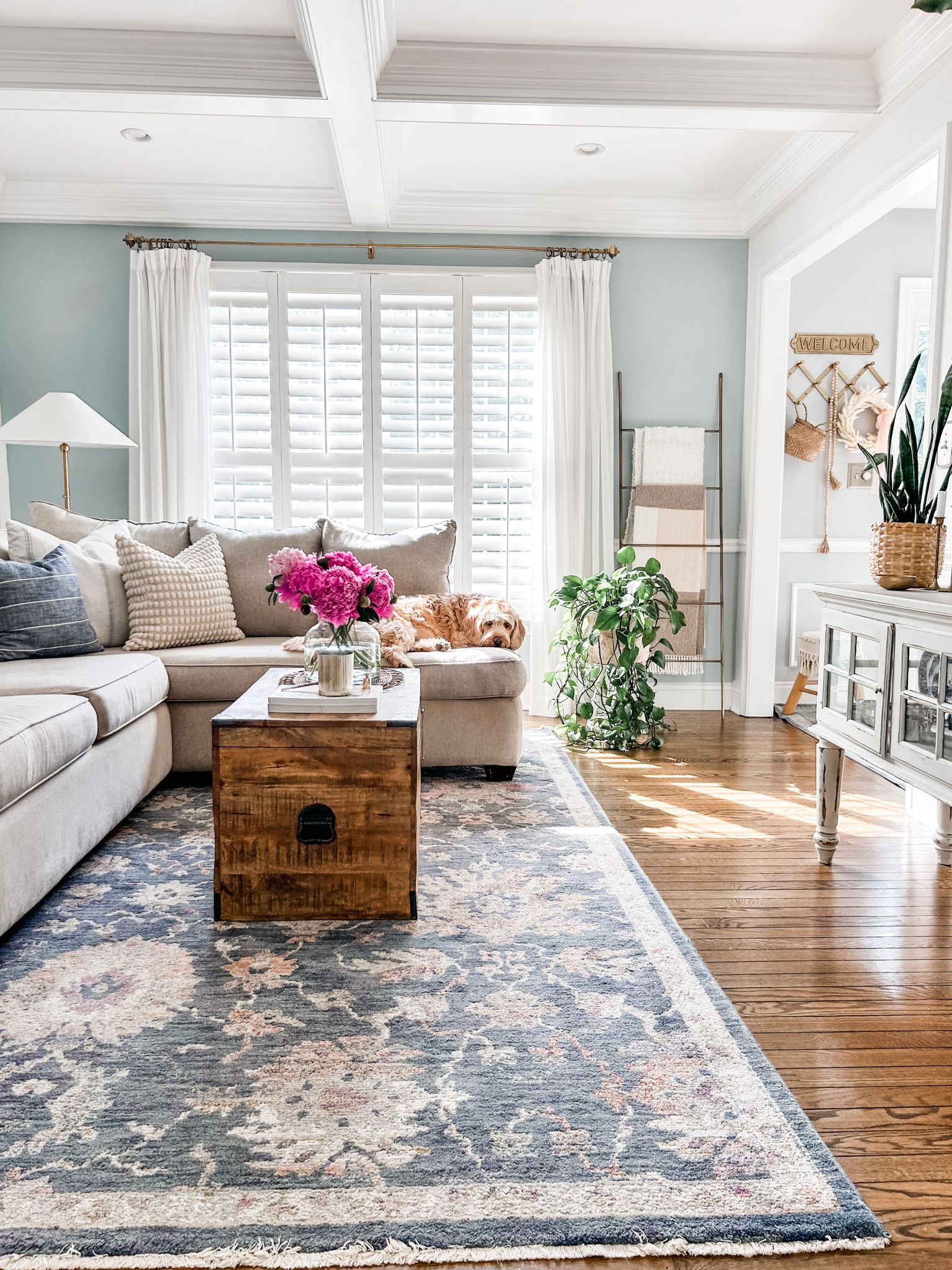 Love these affordable pinch pleat drapes from Amazon!

Off white curtain panel, faux linen curtains, Amazon drapes, curtain rod, curtain clip rings, blue area rug, Loloi rug, living room rug, blanket ladder, throw blanket, tripod planter, bamboo planter pot, brass floor lamp.

#LTKFind #LTKhome #LTKstyletip
