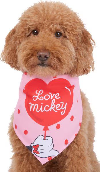 DISNEY Minnie Mouse "Love Mickey" Dog & Cat Bandana, Medium/Large - Chewy.com | Chewy.com