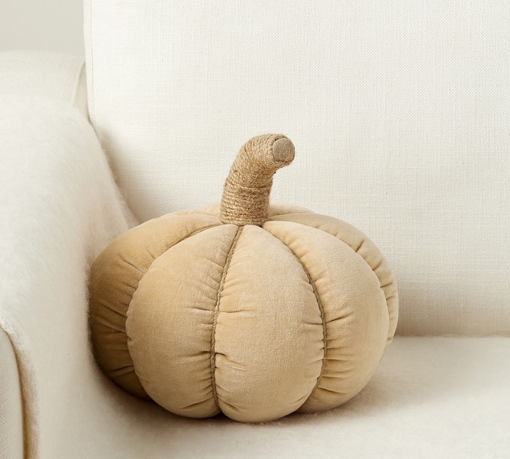 Velvet Pumpkin Shaped Pillow | Pottery Barn (US)