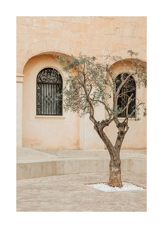Lonely Olive Tree Poster | Desenio