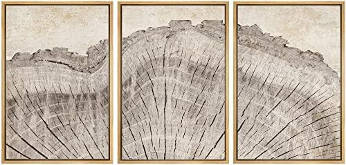 SIGNWIN Framed Canvas Print Wall Art Set Retro Close Up Oak Wood Tree Rings Nature Wilderness Ill... | Amazon (US)