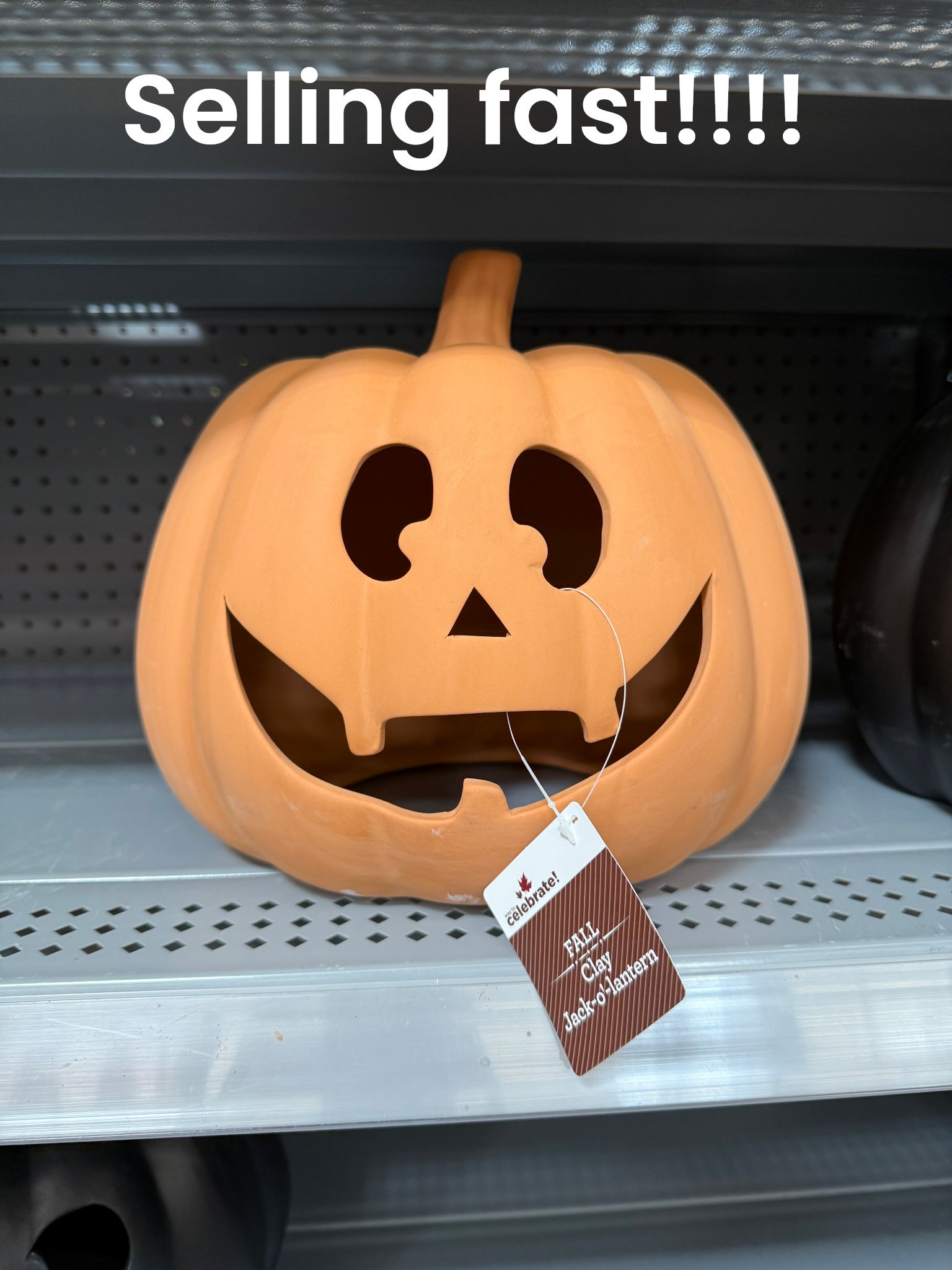 These viral ceramic pumpkins are selling so fast. I just bought the last two at my store. 

Halloween decor
Ceramic pumpkins
Walmart Halloween 

#LTKHome #LTKFindsUnder50 #LTKSeasonal