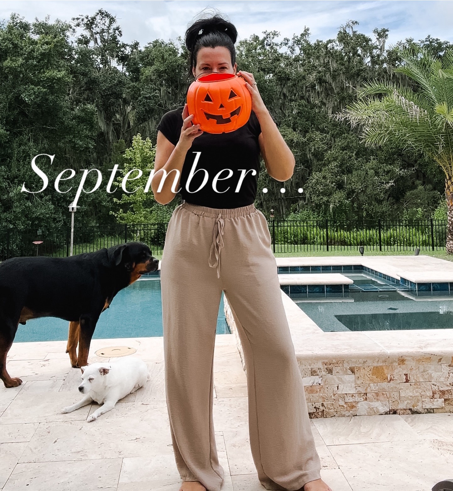 🍂🎃 I’ll be over here with my DIY’s and fall vibes  


#LTKSeasonal #LTKHome #LTKFallSale