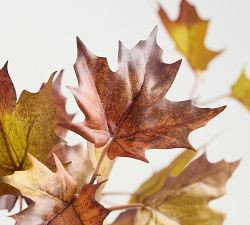 Faux Oversized Turning Maple Branch | Pottery Barn (US)