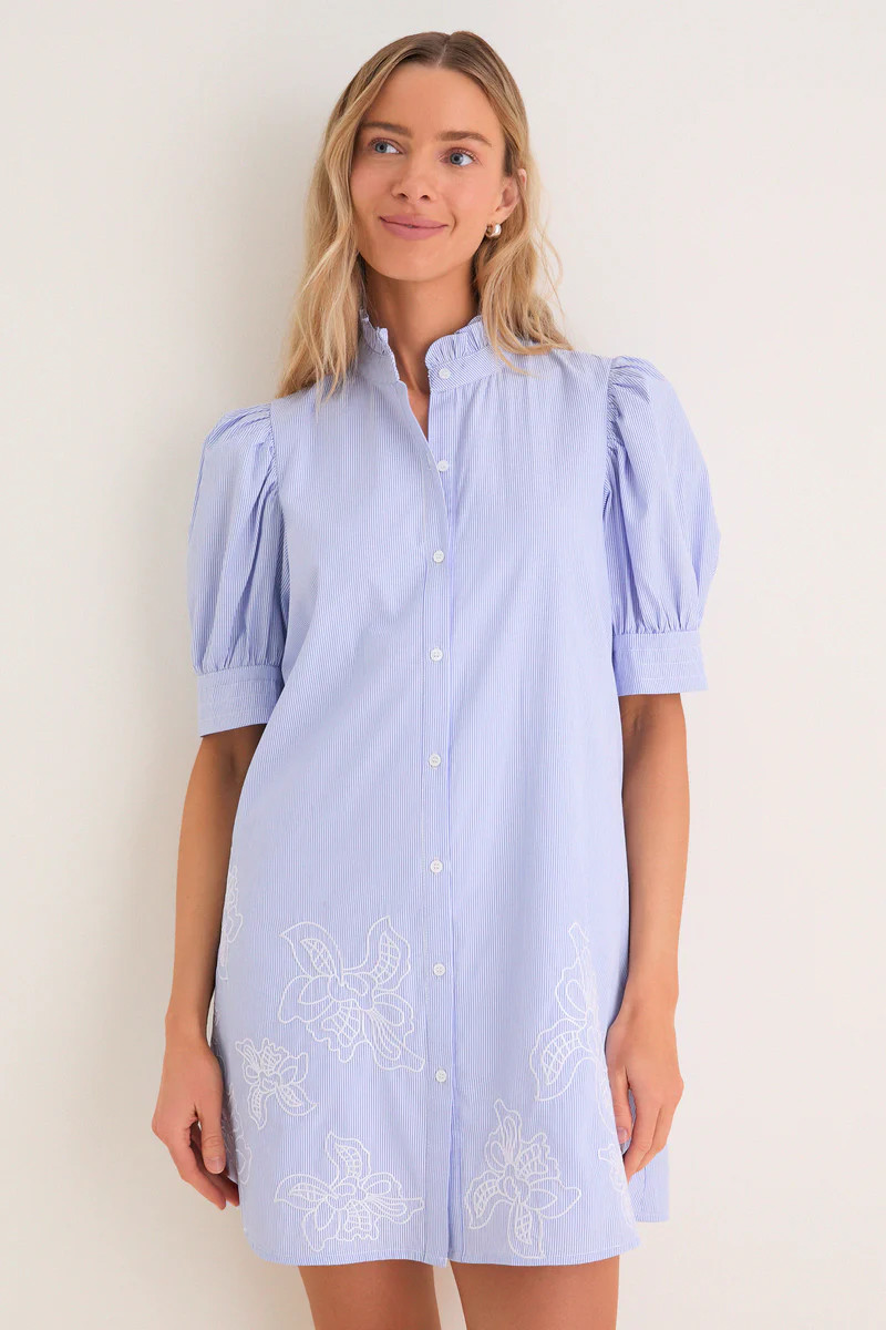 Blue Embroidered Pinstripe Louisa Mini Dress | Tuckernuck (US)