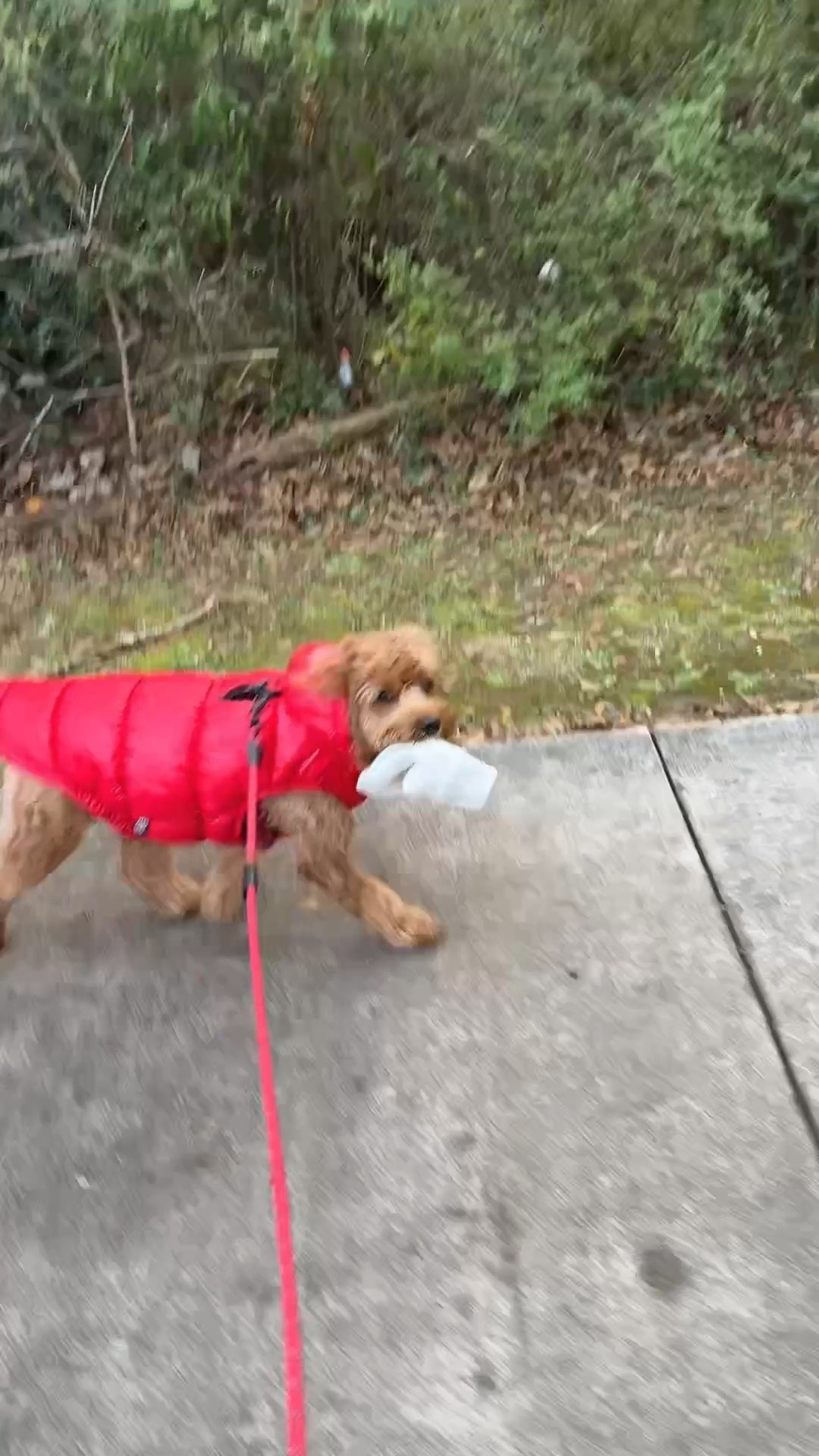 All things that are Walter approved! 

#LTKU