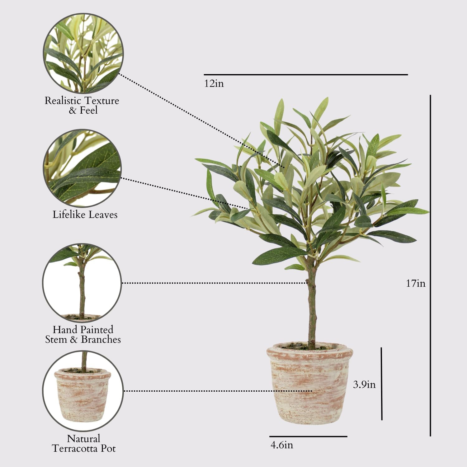 CG Hunter Faux Rosemary Plant & Olive Topiary, Set-of-2 Premium Artificial Indoor Plants, Enhance... | Amazon (US)