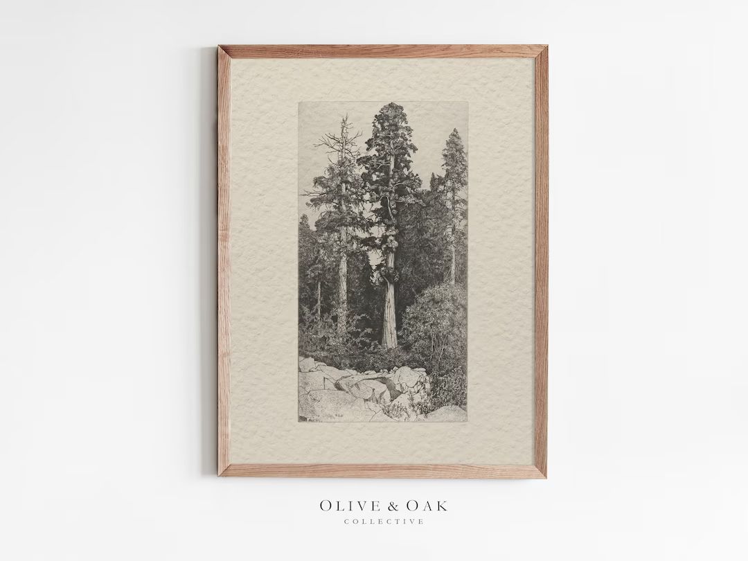 Neutral Landscape Sketch / Vintage Tree Etching / Antique Pine - Etsy | Etsy (US)