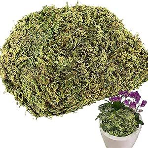 4OZ Fake Moss for Potted Plants Artificial Moss for Fake Plants Faux Moss for Planters Decorative... | Amazon (US)
