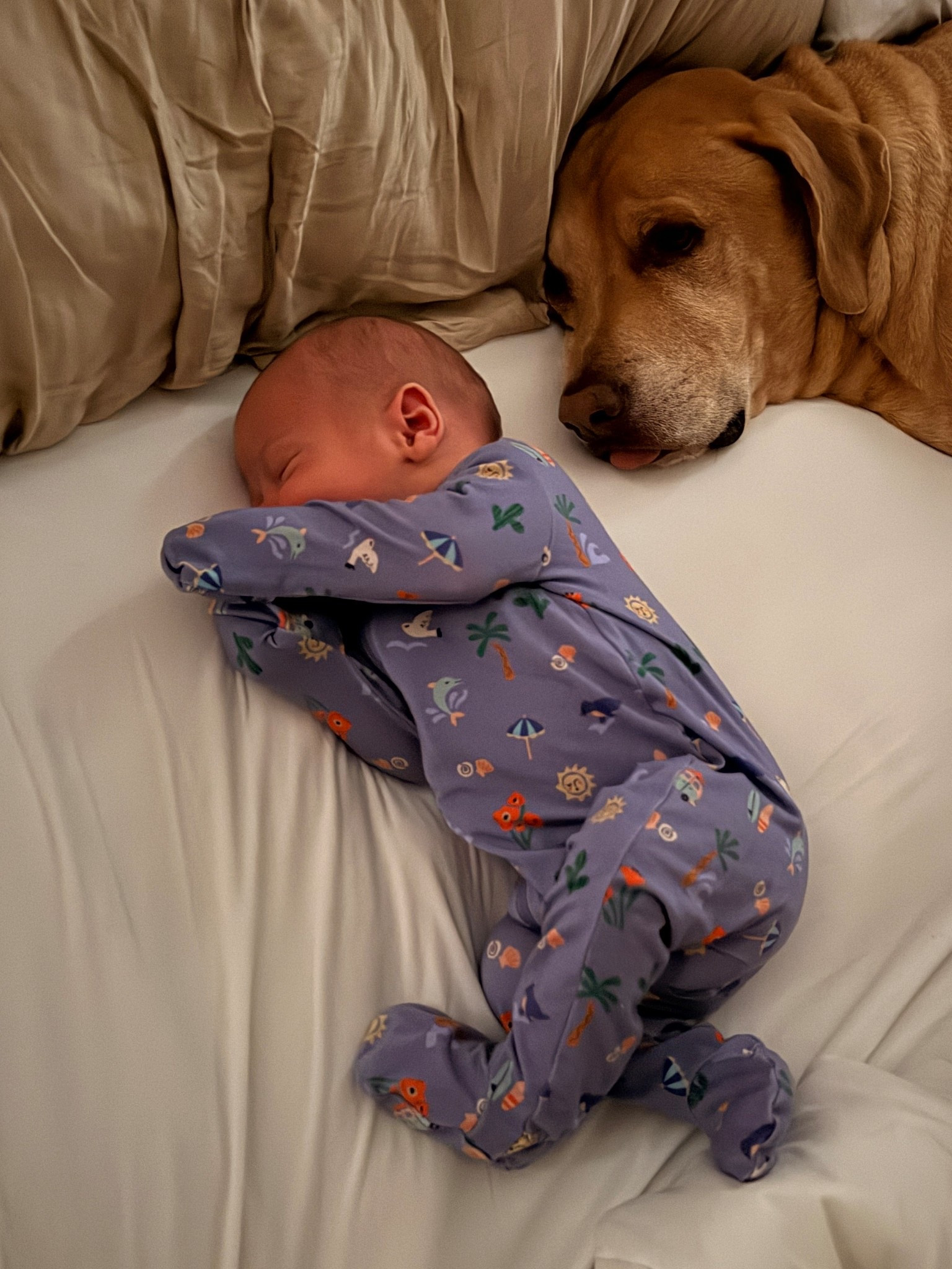 Baby PJs - San Diego print 

#LTKmomlife #LTKBaby #LTKKids