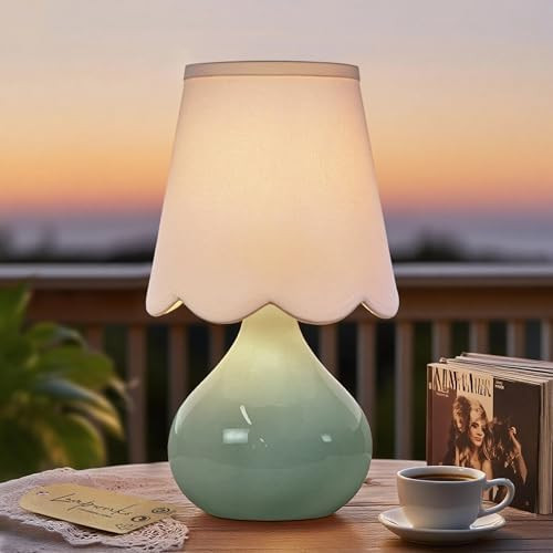 14'' H Cordless LED Table Lamp with Dimmer, Ceramic Bedside Table Lamp, Rechargeable & 3-Level Br... | Amazon (US)