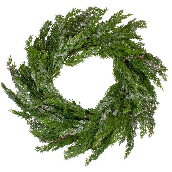Northlight 24" Iced Cedar Artificial Christmas Wreath - Unlit | Target