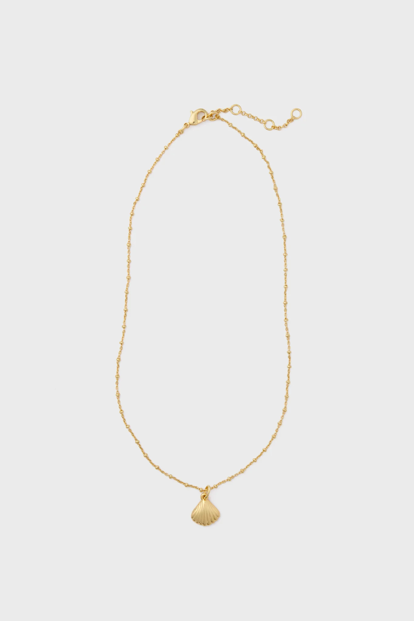 Gold Shell Bridget Necklace | Tuckernuck (US)