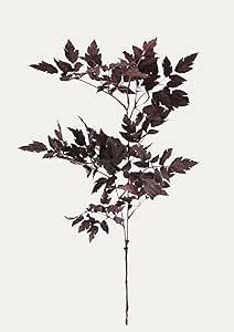 Afloral Plum Fake Cimicifuga Ramosa Leaves - 31" | Amazon (US)