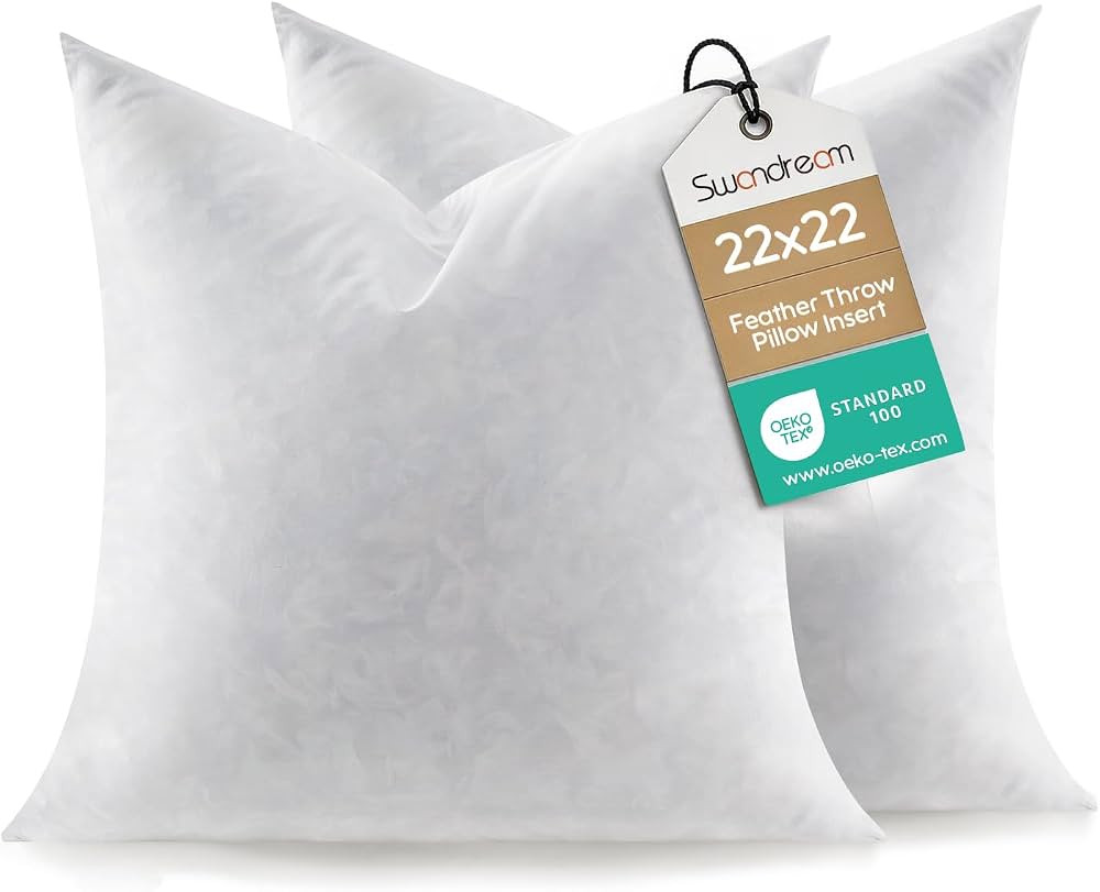 Feather Throw Pillow Inserts Set of 2, Soft Fluffy Square 22 x 22 Inches Decorative Pillow Insert... | Amazon (US)