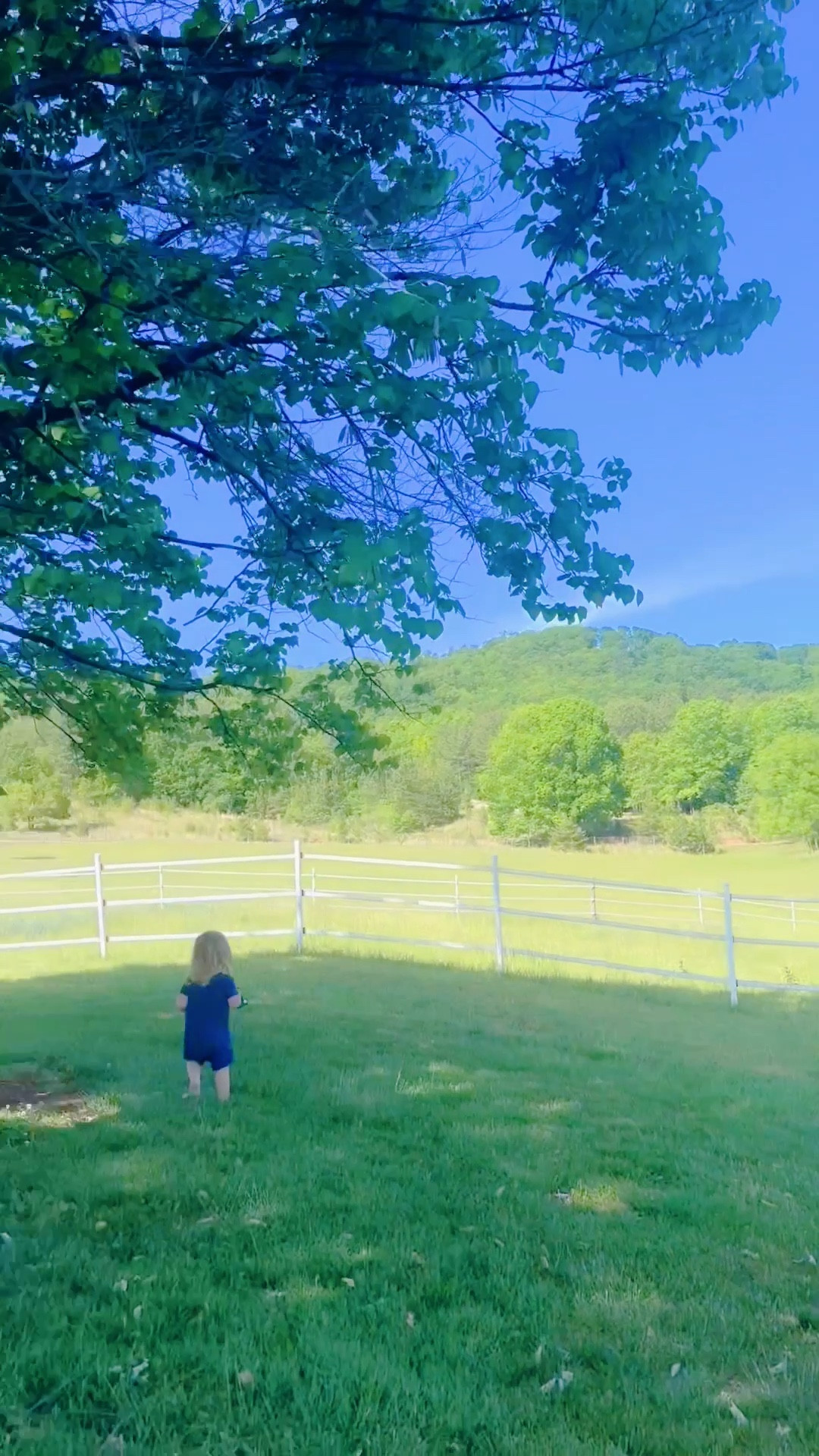 when you wake up early from your nap (& big brother is still asleep 🤭💤), you get to walk the property with mama!! 🌳🌾 These 12 acres are a true slice of heaven on earth and we couldn’t be more grateful to raise these sweet little barefoot 👣 babies 👶🏼 here!! 🫶🏽☀️ So many pastures we have yet to even explore… just a dream! What a gift and just dream it all is… and worth our whole journey to get here!! Thank you, Lord!!!! 🌼