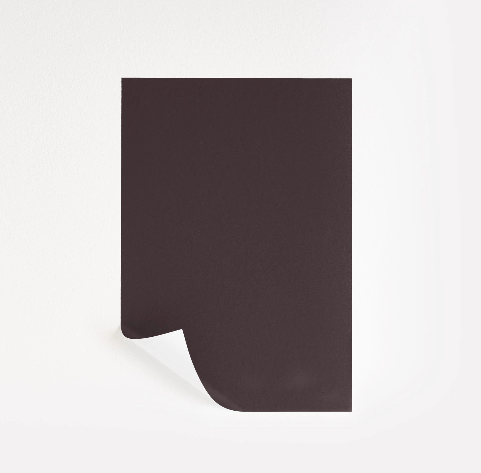 Caponata  Paint Sample | Samplize