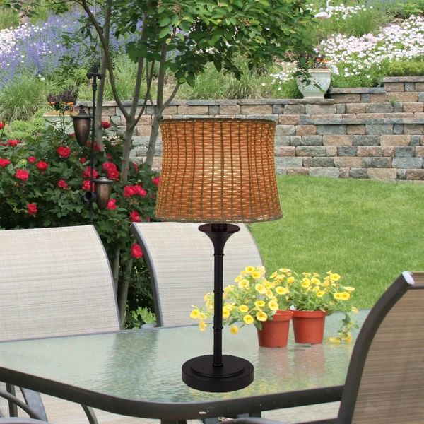 Evrard  25.25" Plug-In Outdoor Table Lamp | Wayfair North America