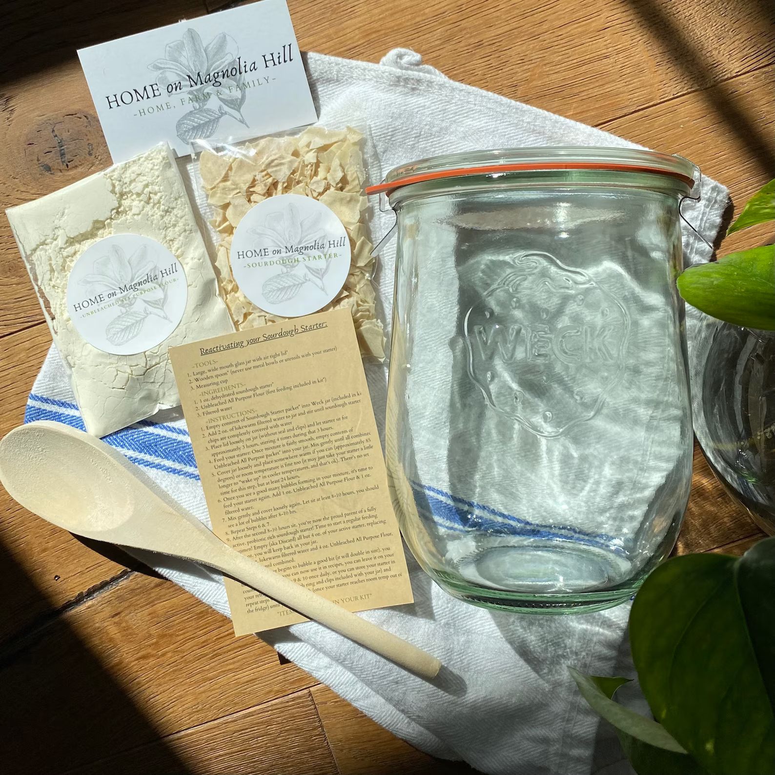 Beginners Sourdough Starter Kits in Weck Jar: Wheat or Gluten | Etsy | Etsy (US)