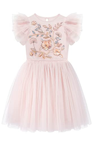Tutu Dress for Girls - Embroidered Tulle Tiered Layered Flower Toddler Dress for Wedding & Birthd... | Amazon (US)