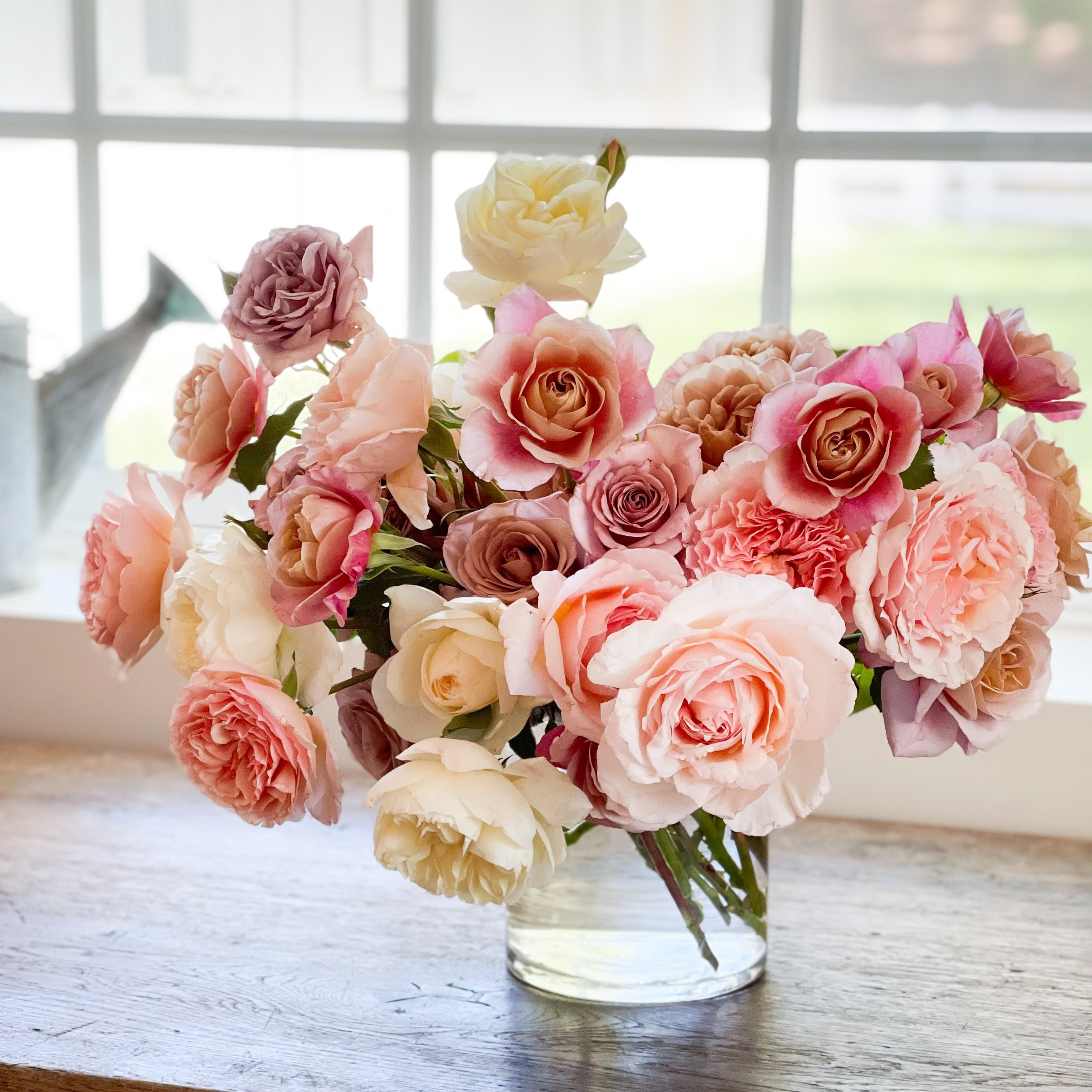 Lucy | grace rose farm